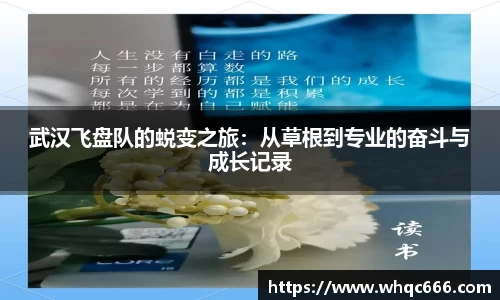 武汉飞盘队的蜕变之旅：从草根到专业的奋斗与成长记录