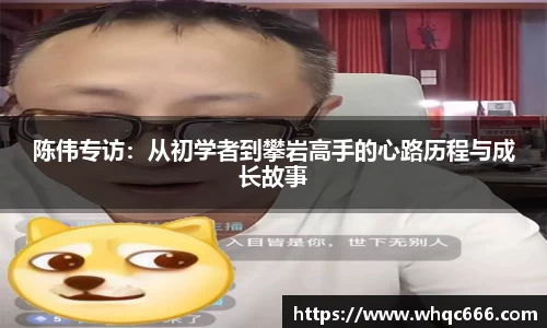 陈伟专访：从初学者到攀岩高手的心路历程与成长故事