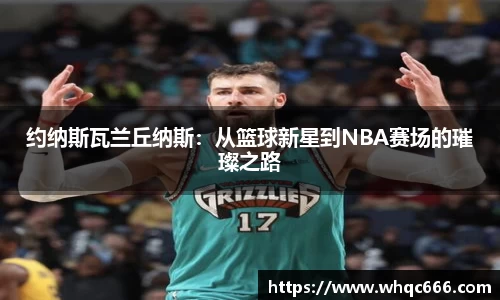 球速体育平台登录入口
