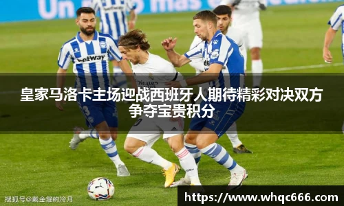 球速体育平台登录入口