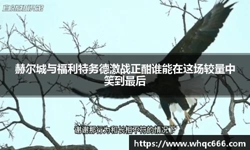 球速体育平台登录入口
