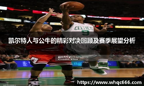 球速体育平台登录入口