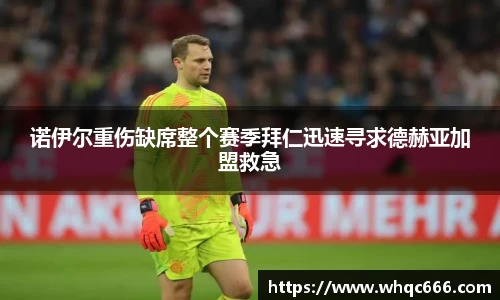 球速体育平台登录入口