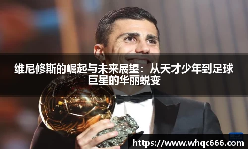 球速体育平台登录入口