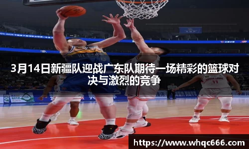 球速体育平台登录入口