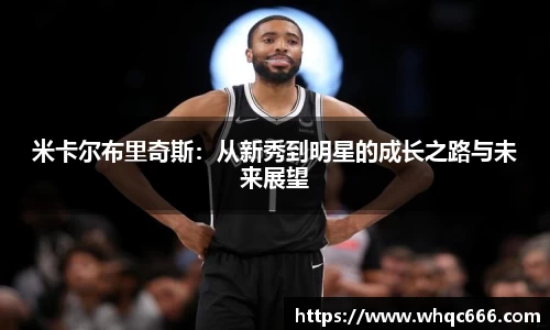 球速体育平台登录入口